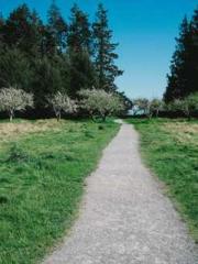 lt;Honor calls for N