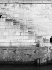 The Daring Wife of a