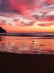 lt;The misfortune of