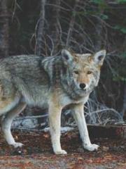 Billions of Blessing