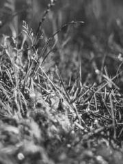 Rebirth in 1970: Eat