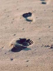 My Sweet Wife: The C