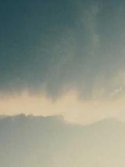 My Amazing Female Te