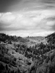 lt;Honor calls for N