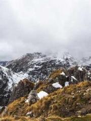 Peninsula Asteroid l