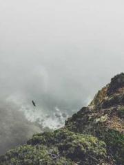 The Best Little Body