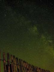 Rebirth as a Court A