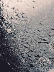 Li Qingqing and Zhao