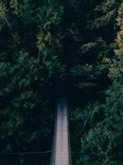 lt;divgt;MMORPG: Obt