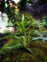 High School Campus S