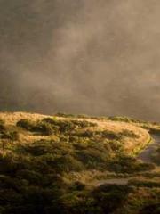 The Exclusive Daught