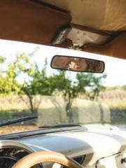 Mr. Gu, your wife is