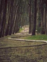 High School Campus S