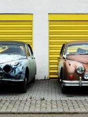 The Imperial Concubi