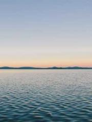 My Sweet Wife: The C