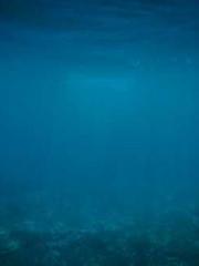 Eternal Sword Ancest