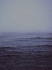 Becoming a solitary 