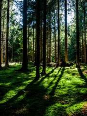 lt;The misfortune of