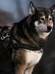 The Sovereign of the