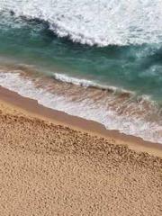 The Apothecaryapos;s