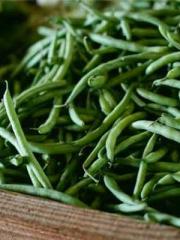 Lin Feng Lin Yun Yao