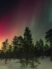 The Return of the Go