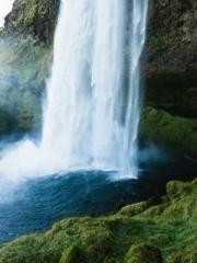 Rebirth in 1970: Eat