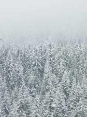 King of Nine Profoun