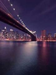 Mr. Gu, your wife is