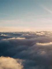 The Return of the Go