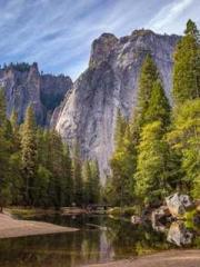 The Daring Wife of a