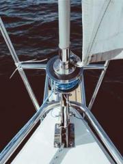 The Best Little Body