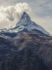 lt;lt;lt;The Peerles