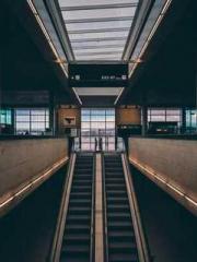 King of the Nine Pro